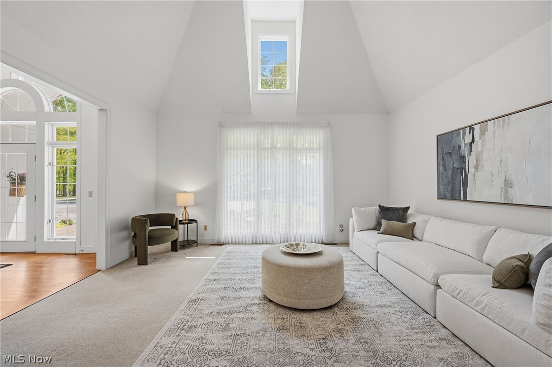 8795 Pheasant Run Lane Kirtland Hills OH 44060