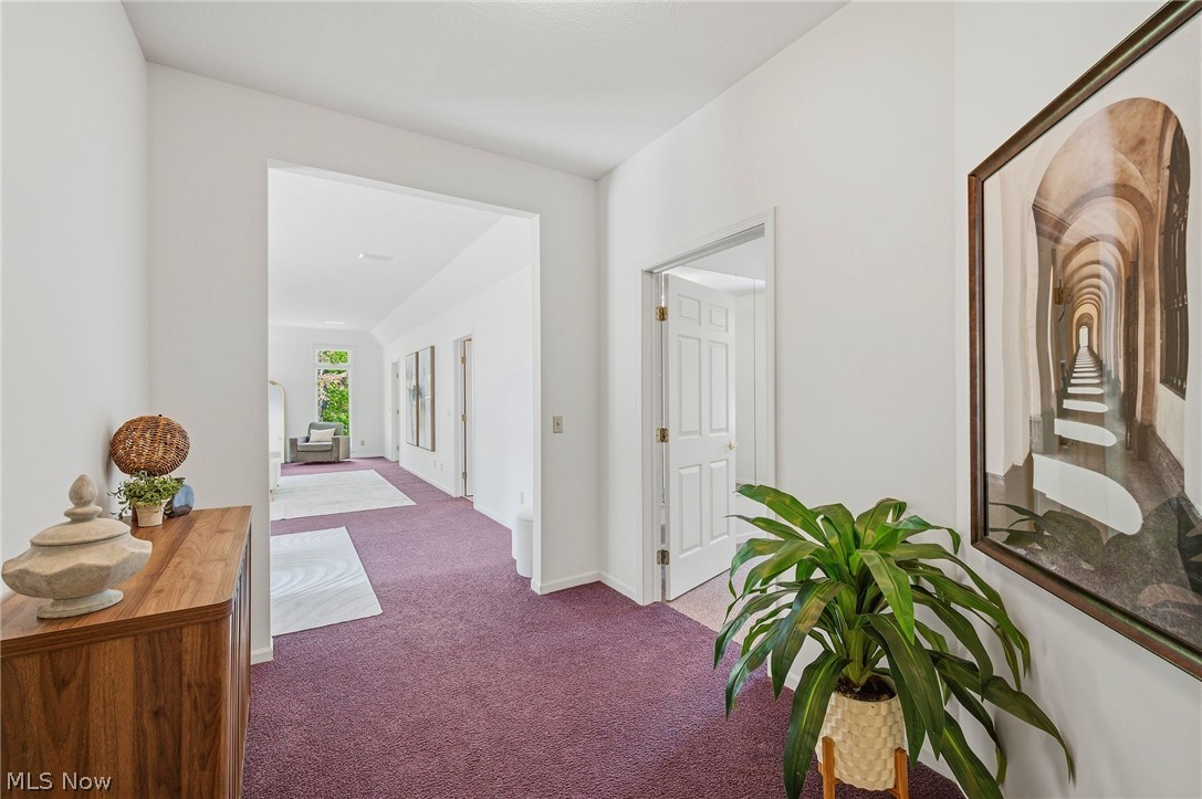 8795 Pheasant Run Lane Kirtland Hills OH 44060