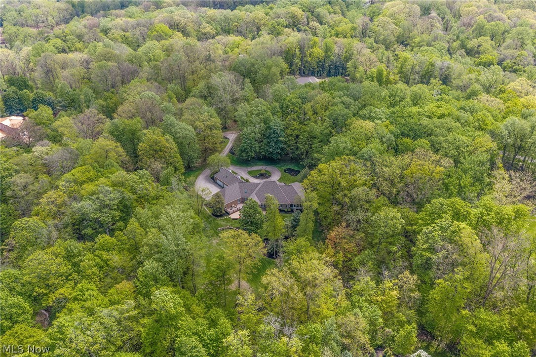 8795 Pheasant Run Lane Kirtland Hills OH 44060