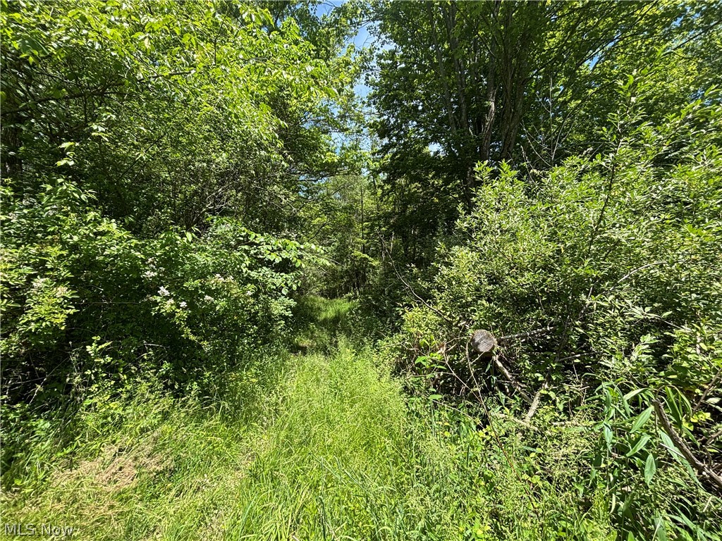 6601 Mapleton Street SE East Canton OH 44730