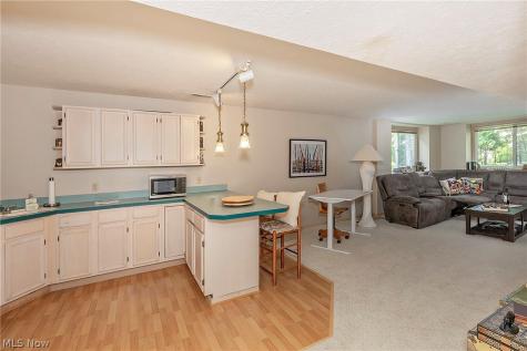 19165 Ridgeline Court Strongsville OH 44136