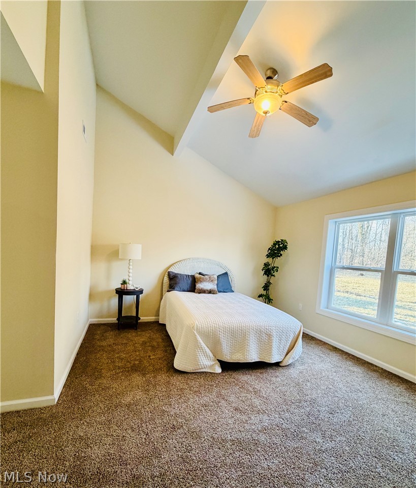 246 W Hamilton Street Oberlin OH 44074