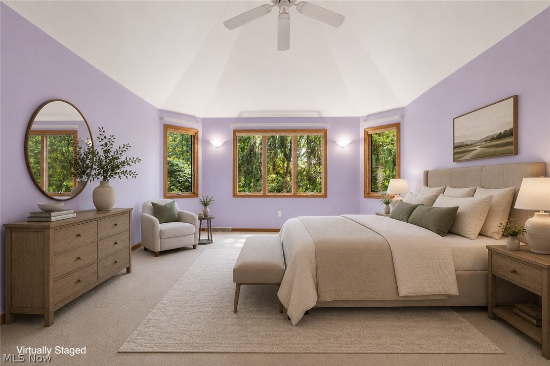 6435 Suzanne Lane Solon OH 44139