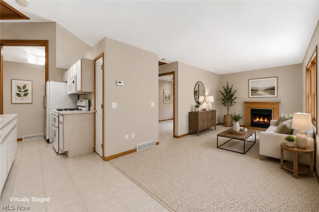 6435 Suzanne Lane Solon OH 44139