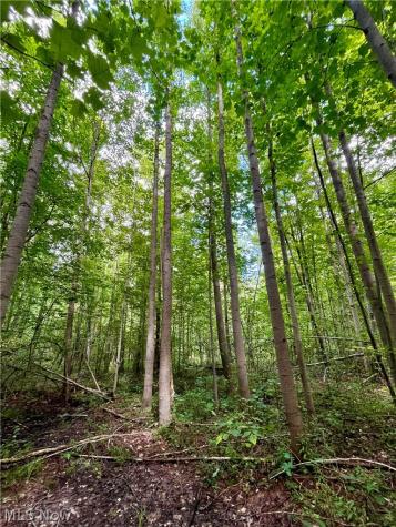 4508 State Route 193 Dorset OH 44032