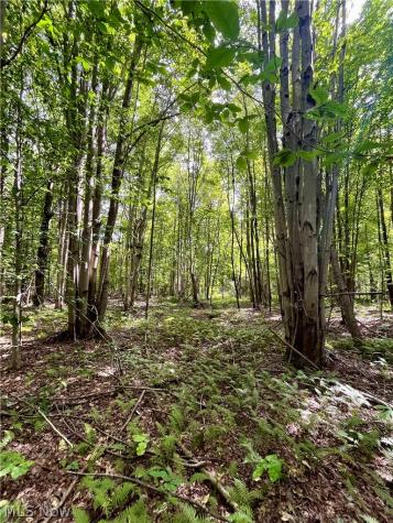 4508 State Route 193 Dorset OH 44032