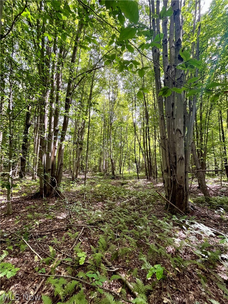 4508 State Route 193 Dorset OH 44032