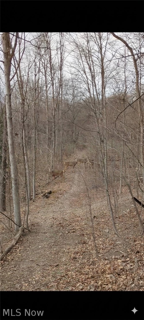 5540 State Route 170 East Palestine OH 44413