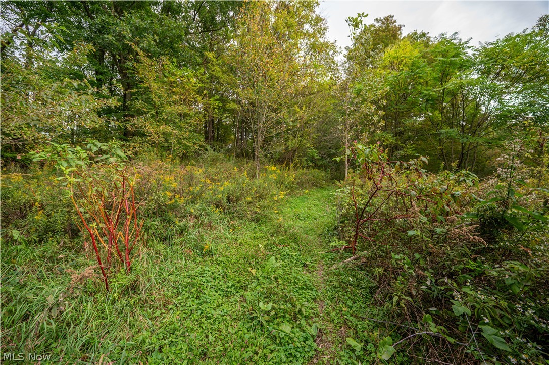 5540 State Route 170 East Palestine OH 44413