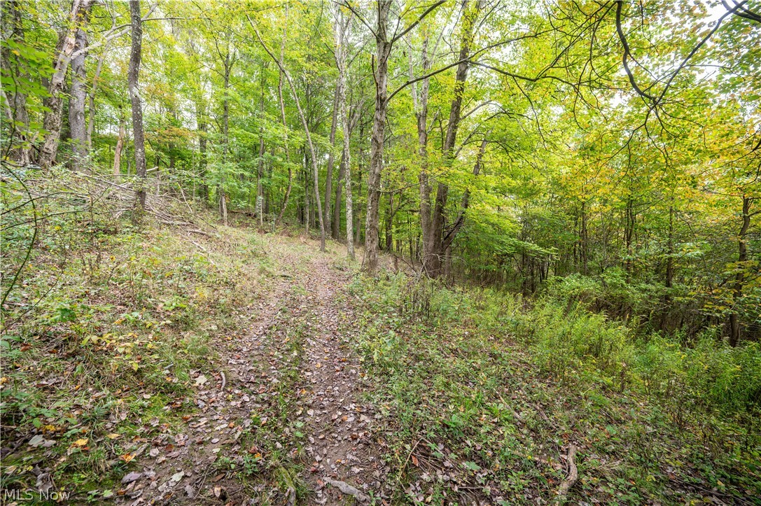 5540 State Route 170 East Palestine OH 44413