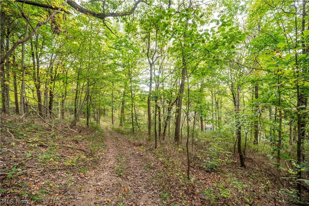 5540 State Route 170 East Palestine OH 44413
