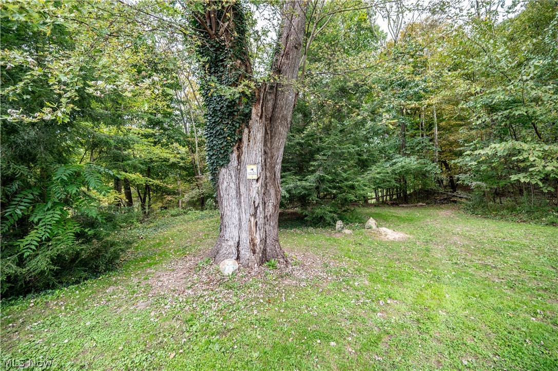 5540 State Route 170 East Palestine OH 44413