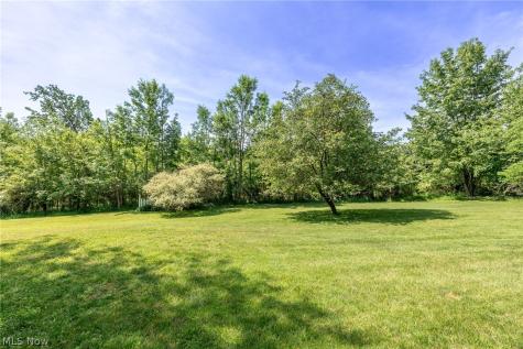 10614 Jones Road Litchfield OH 44253