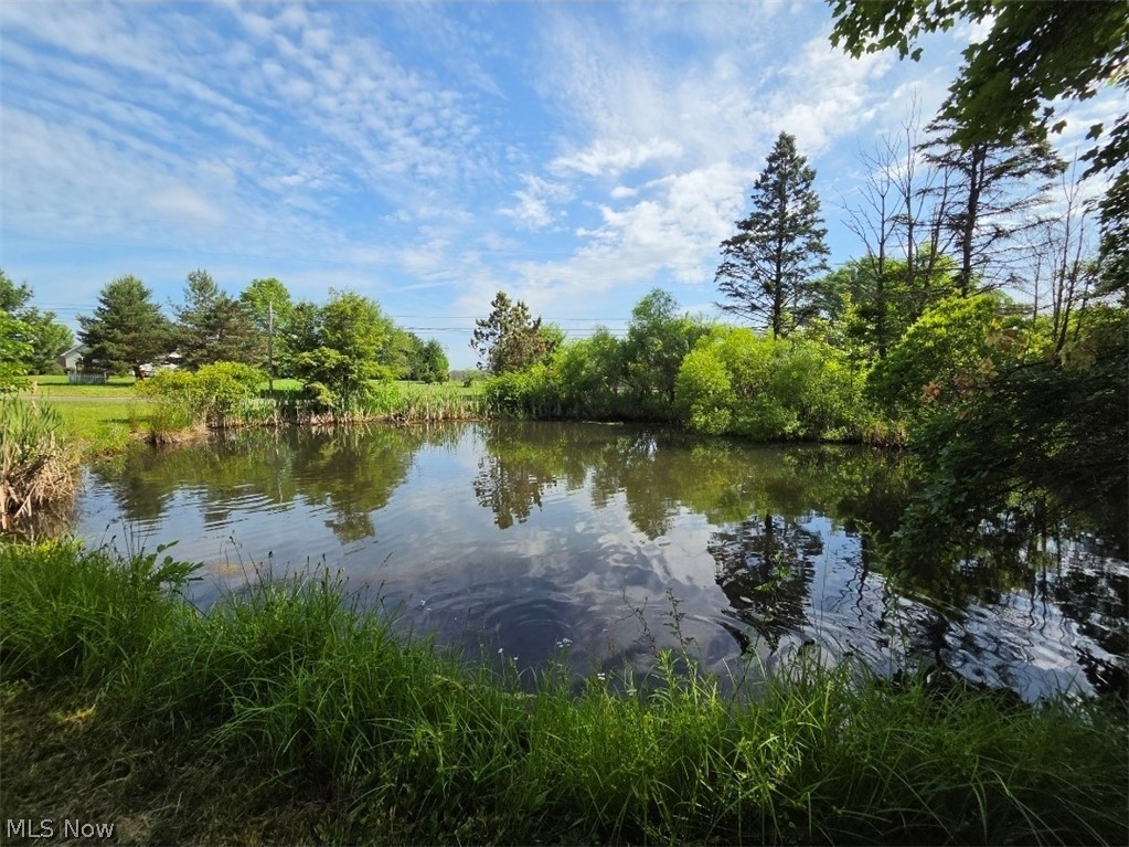 10614 Jones Road Litchfield OH 44253