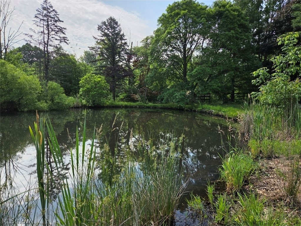 10614 Jones Road Litchfield OH 44253