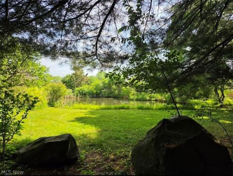10614 Jones Road Litchfield OH 44253