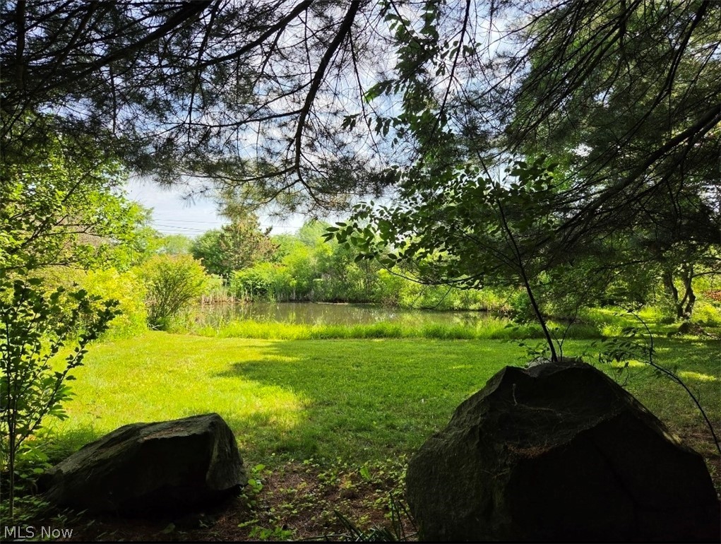 10614 Jones Road Litchfield OH 44253