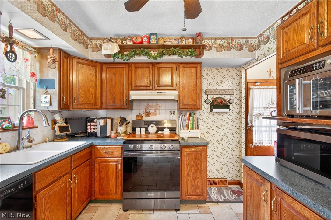 1105 Birch Lane Cleveland OH 44109