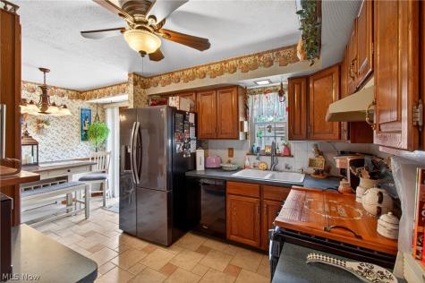 1105 Birch Lane Cleveland OH 44109