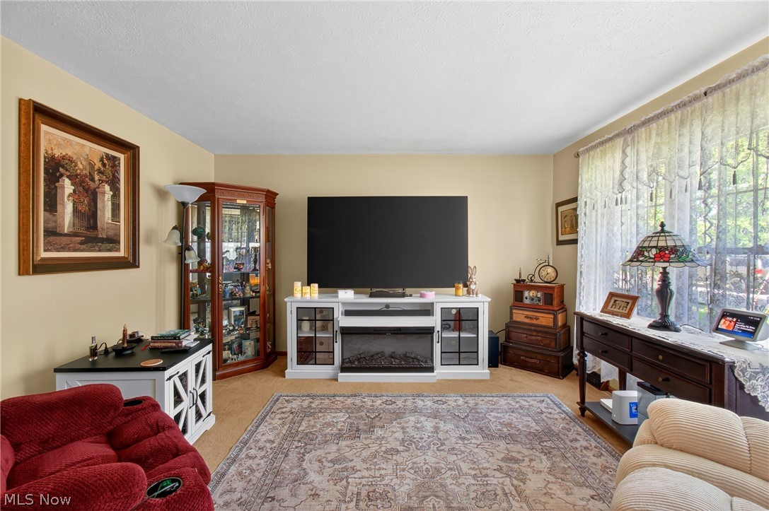 1105 Birch Lane Cleveland OH 44109