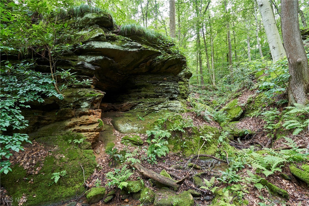 4721 Copley Road Akron OH 44321