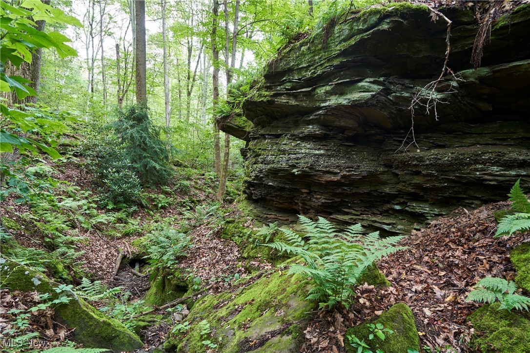 4721 Copley Road Akron OH 44321