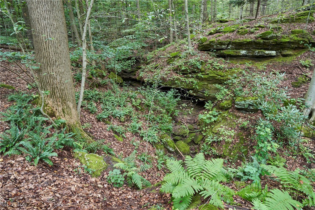 4721 Copley Road Akron OH 44321