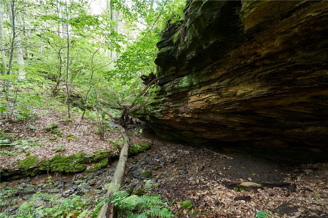 4721 Copley Road Akron OH 44321