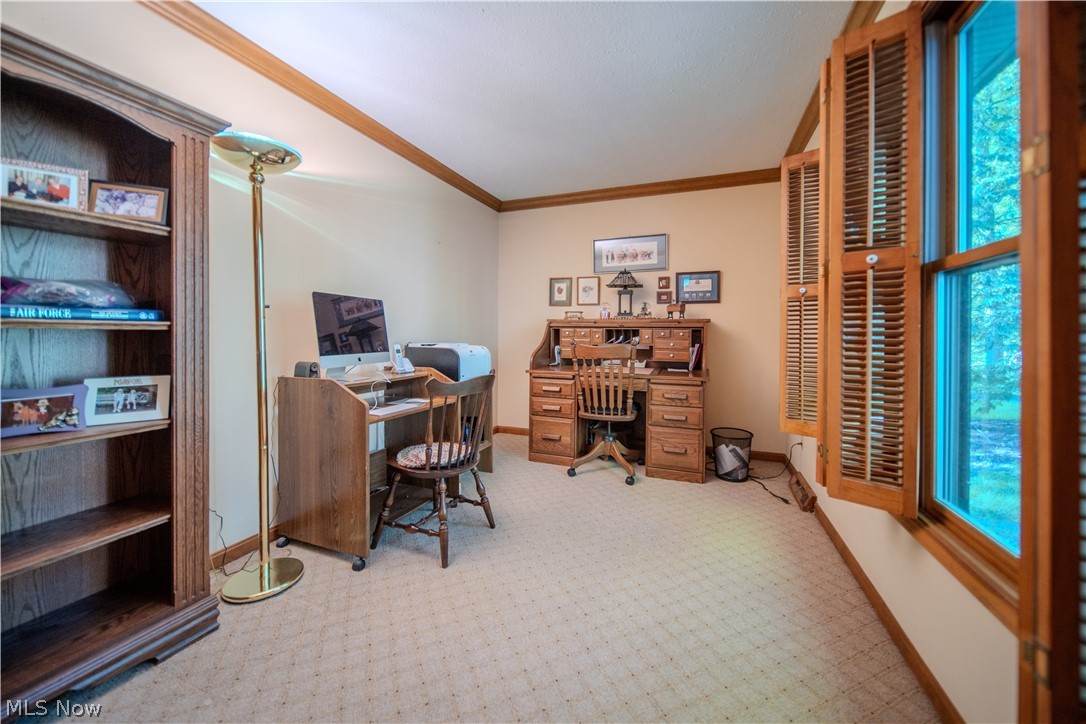 4502 Glen Eagle Drive Brecksville OH 44141