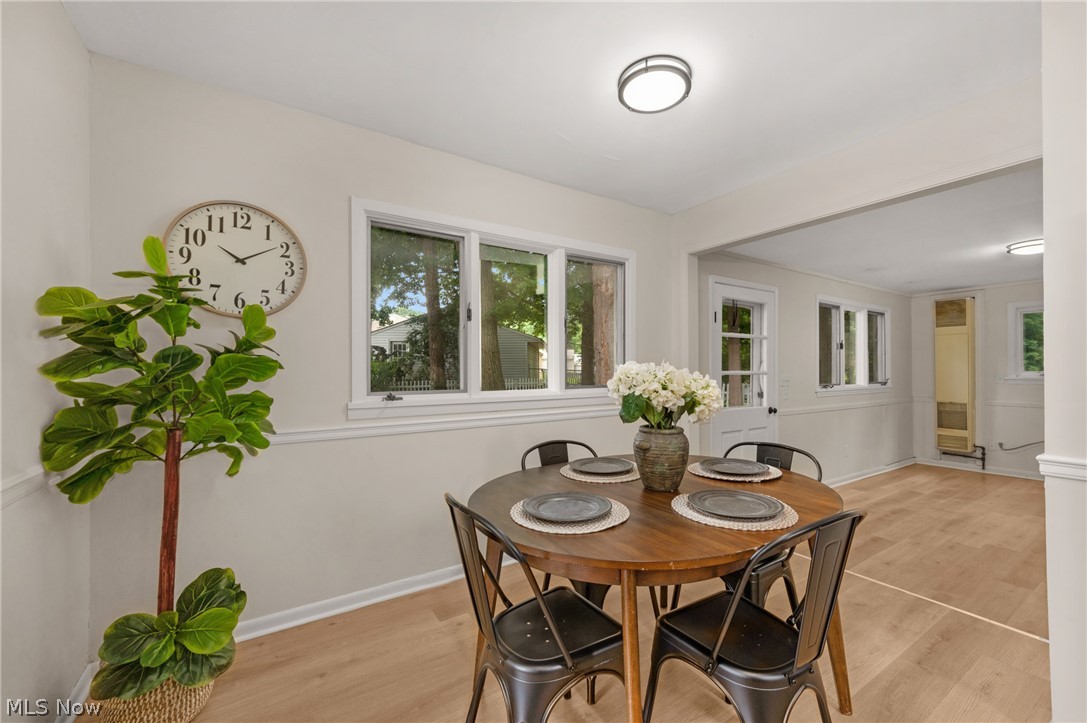 2348 Buena Vista Drive Wickliffe OH 44092