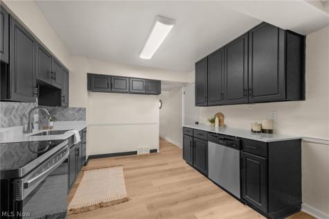 2348 Buena Vista Drive Wickliffe OH 44092
