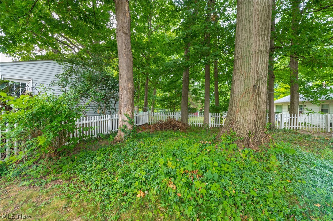 2348 Buena Vista Drive Wickliffe OH 44092