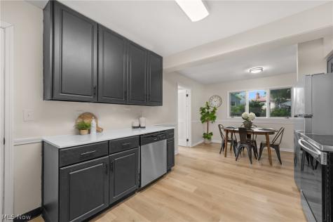 2348 Buena Vista Drive Wickliffe OH 44092