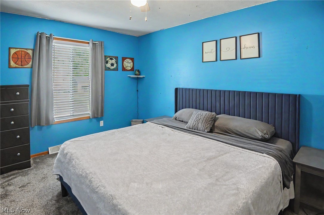 3300 Meanderwood Drive Canfield OH 44406