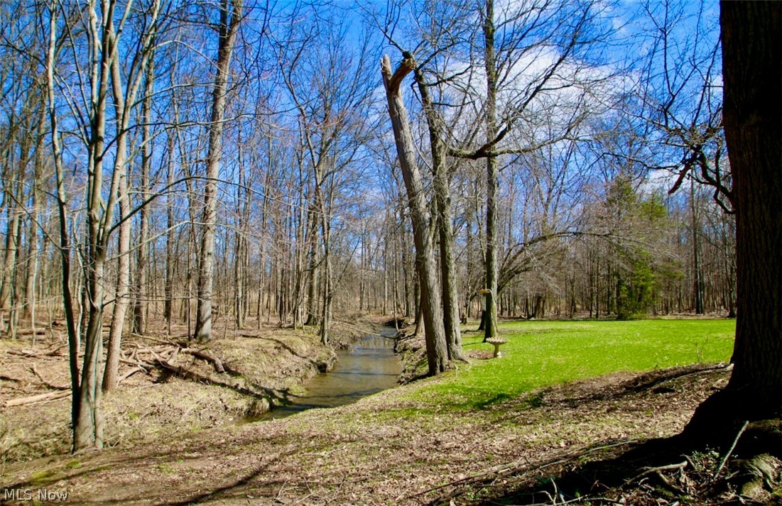 2903 Lamplight Lane Willoughby Hills OH 44094