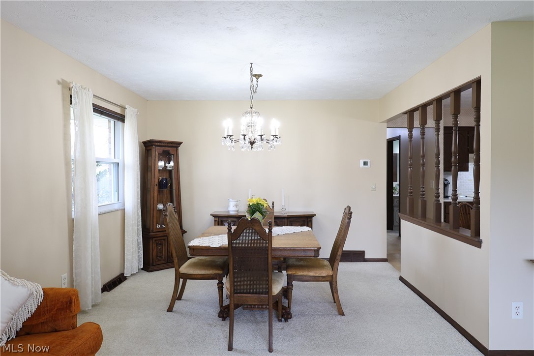6663 Donna Rae Drive Seven Hills OH 44131