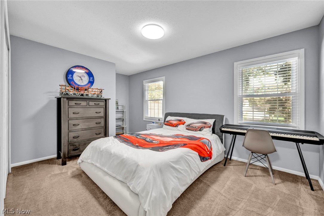 2185 Evergreen Road North Perry OH 44081