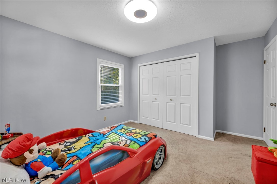 2185 Evergreen Road North Perry OH 44081