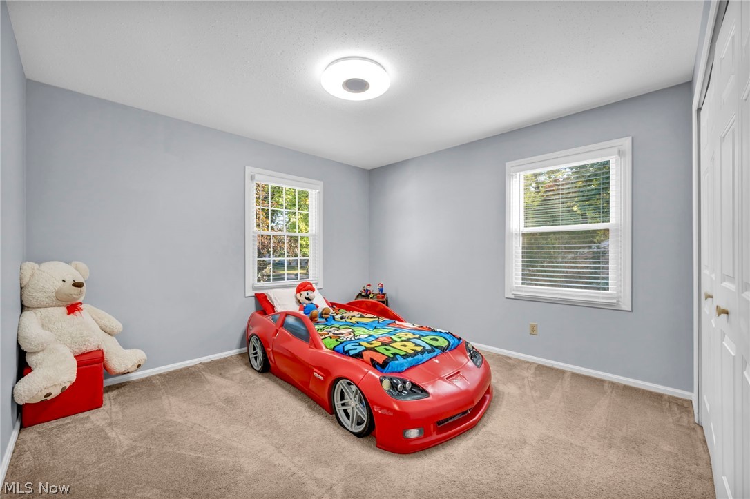 2185 Evergreen Road North Perry OH 44081