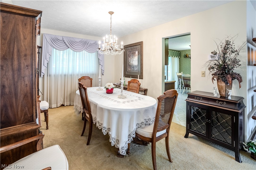 13431 Olde Orchard Road Strongsville OH 44136