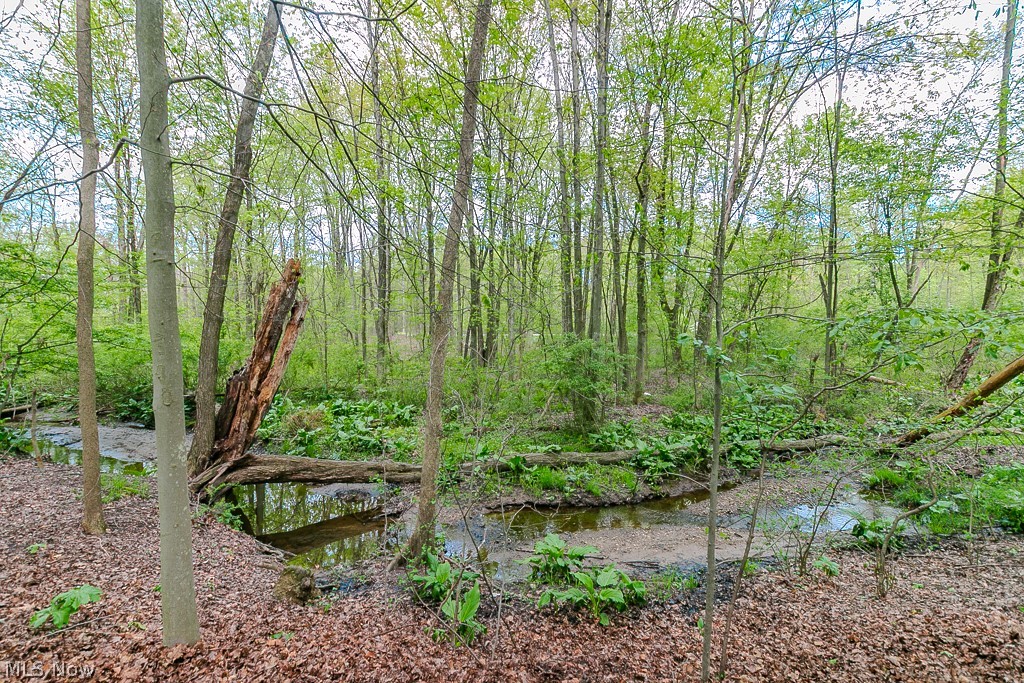 16730 Brigadoon Drive Chagrin Falls OH 44023