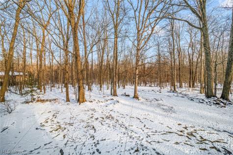 1990 Short Road Thompson OH 44086