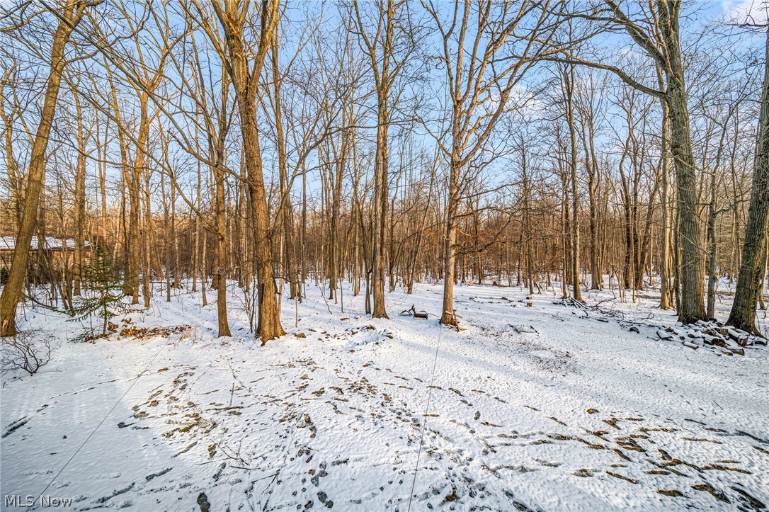 1990 Short Road Thompson OH 44086