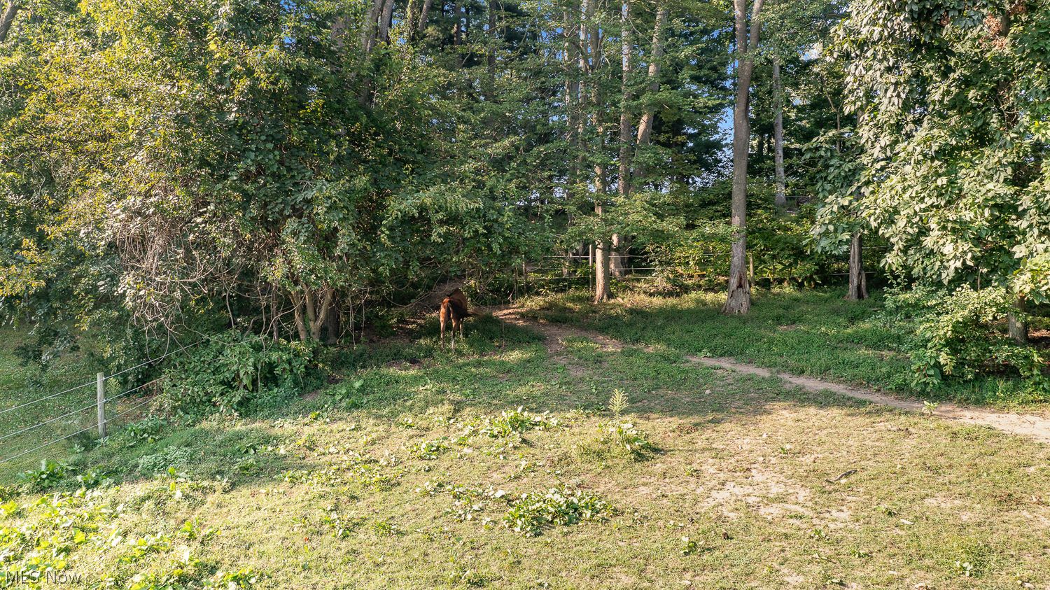 1323 Brussel Road NE Carrollton OH 44615