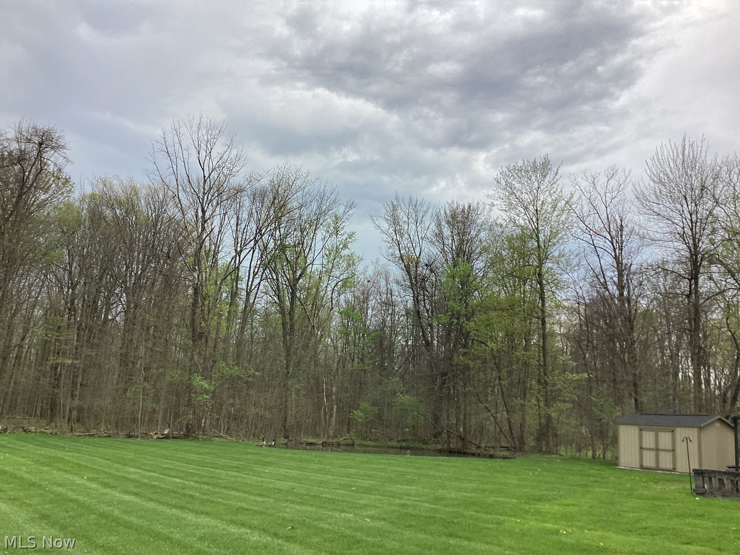 31250 Woodcrest Drive Orange OH 44022