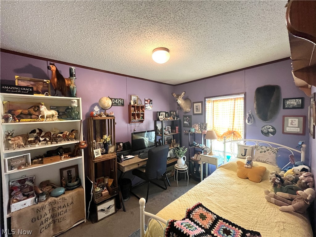 13 Cherokee Lane Creston OH 44217