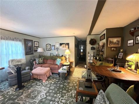 13 Cherokee Lane Creston OH 44217