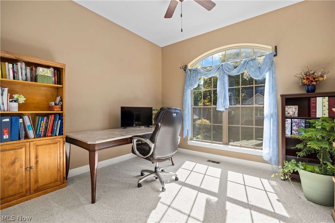 802 Shadow Creek Trail Amherst OH 44001