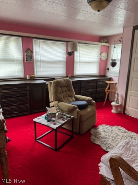 1705 E 28 Street Ashtabula OH 44004