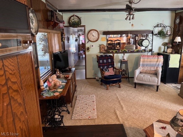 1705 E 28 Street Ashtabula OH 44004